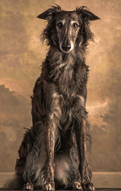 Silken Windhound Silken Windhound